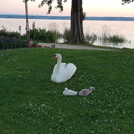 Malvelyns Am Bodensee Имменштад-ам-Бодензее Экстерьер фото