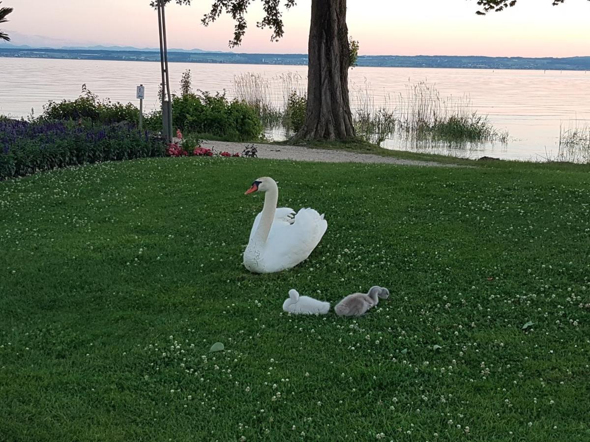 Malvelyns Am Bodensee Имменштад-ам-Бодензее Экстерьер фото